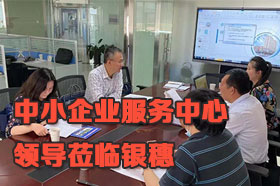 新疆中小企业服务中心领导来银穗财税集团考察调研