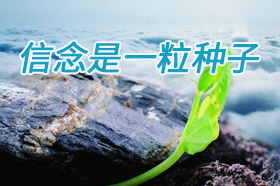 银穗殷建勤：信念是一粒种子